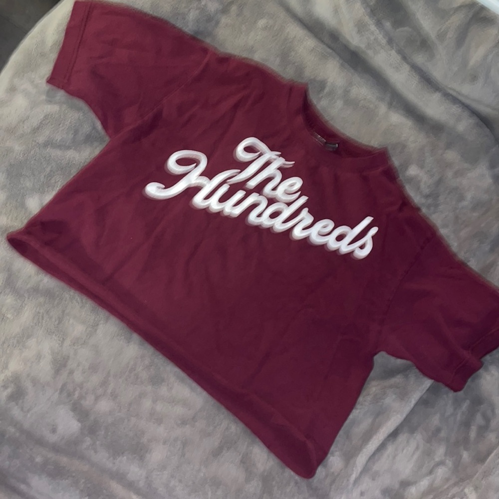 Hundreds crop tee
